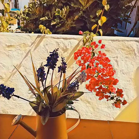 Lucero 12 Guest house Marbella