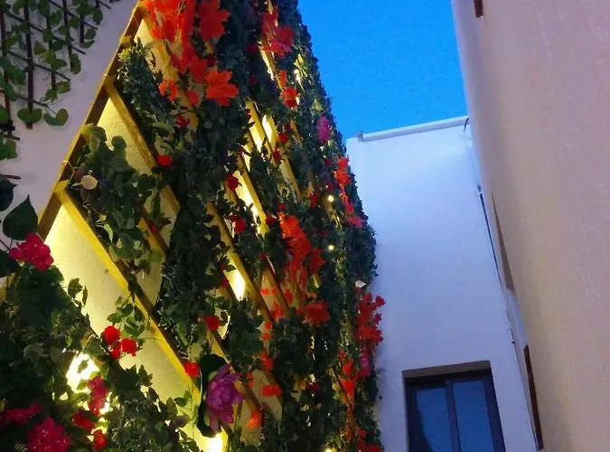 Lucero 12 ماربيا